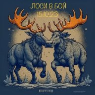 Лоси в Бой Лоси в Бой